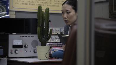 conversation-with-a-cactus-film-image