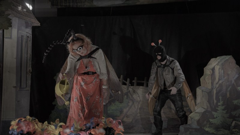 Insect Jan Svankmajer, Tsjechie, 2018