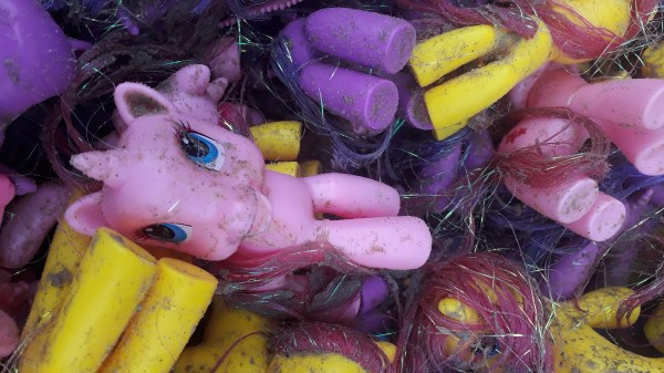 My Little Ponies op Terschelling. Foto: Herman van Vuren